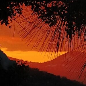 Meet your Posher, Sherrie